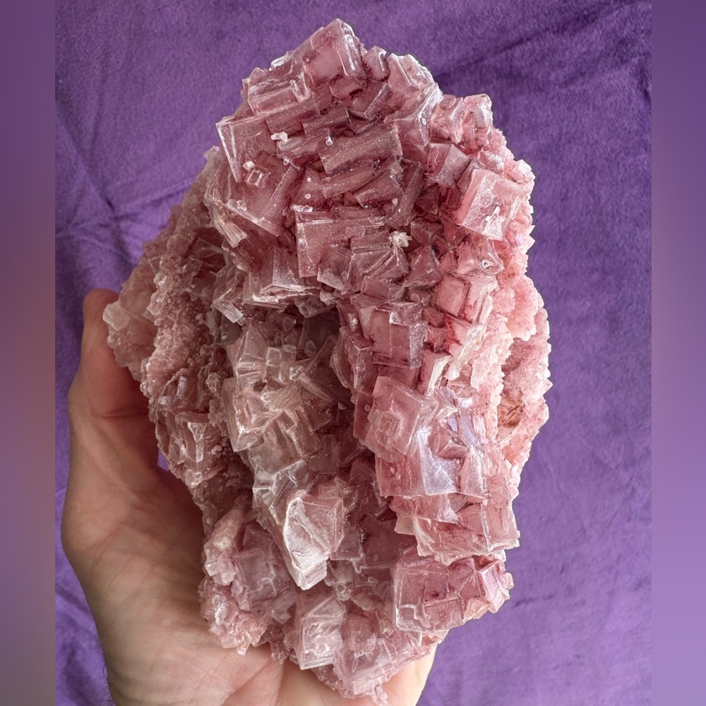 Pink Halite (Searles Lake, California) - Picture 4 of 8
